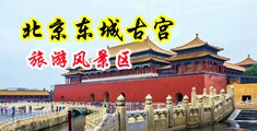大骚逼插插视频中国北京-东城古宫旅游风景区